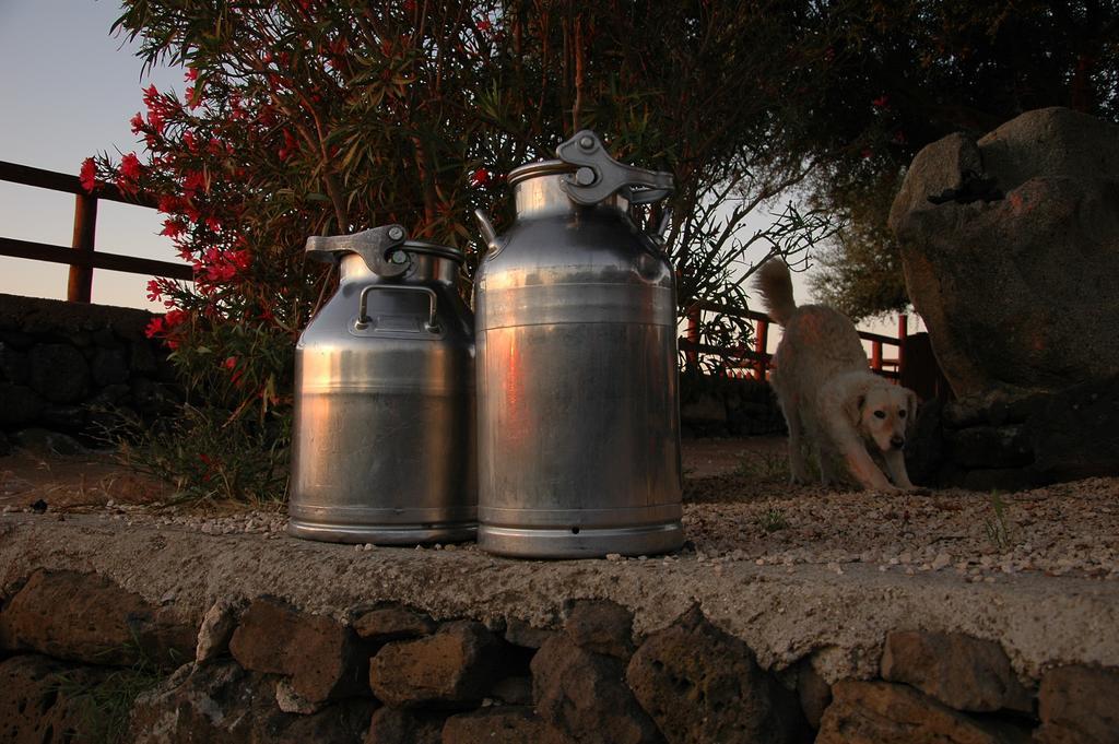 Agriturismo Codula Fuili Cala Gonone Εξωτερικό φωτογραφία