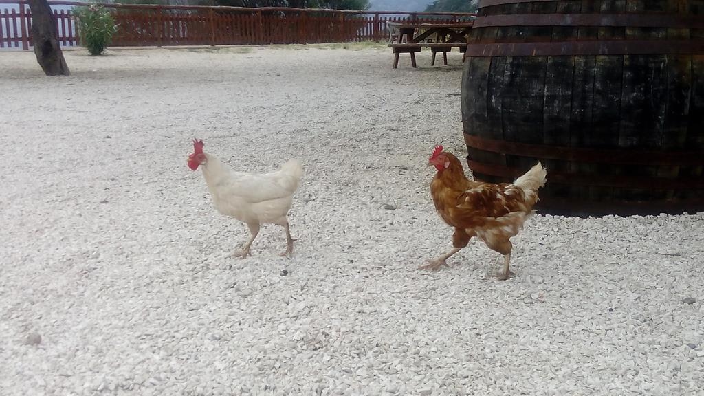 Agriturismo Codula Fuili Cala Gonone Εξωτερικό φωτογραφία