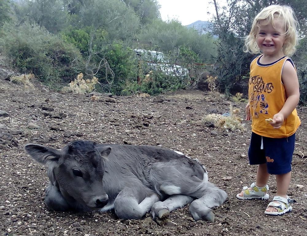 Agriturismo Codula Fuili Cala Gonone Εξωτερικό φωτογραφία